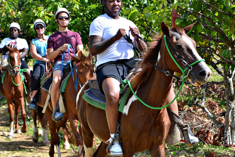 Punta Cana : Combo zipline, équitation et buggy