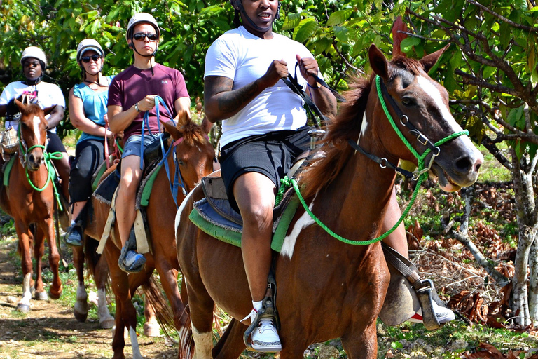 Punta Cana : Combo zipline, équitation et buggy