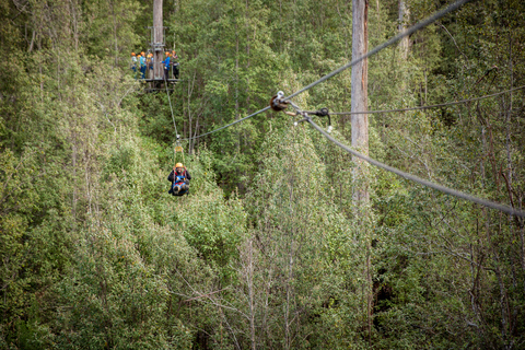 Launceston: Hollybank Forest Treetop Zip Lining with Guide
