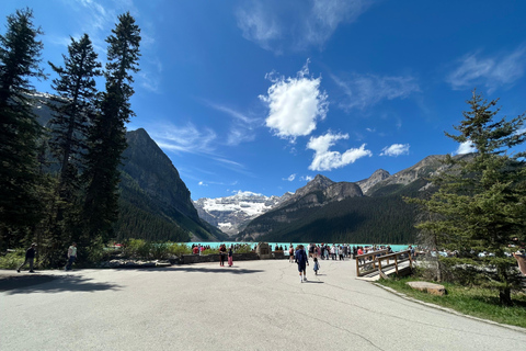 Banff/Calgary: Privétour door de nationale parken Banff en YohoVan Calgary