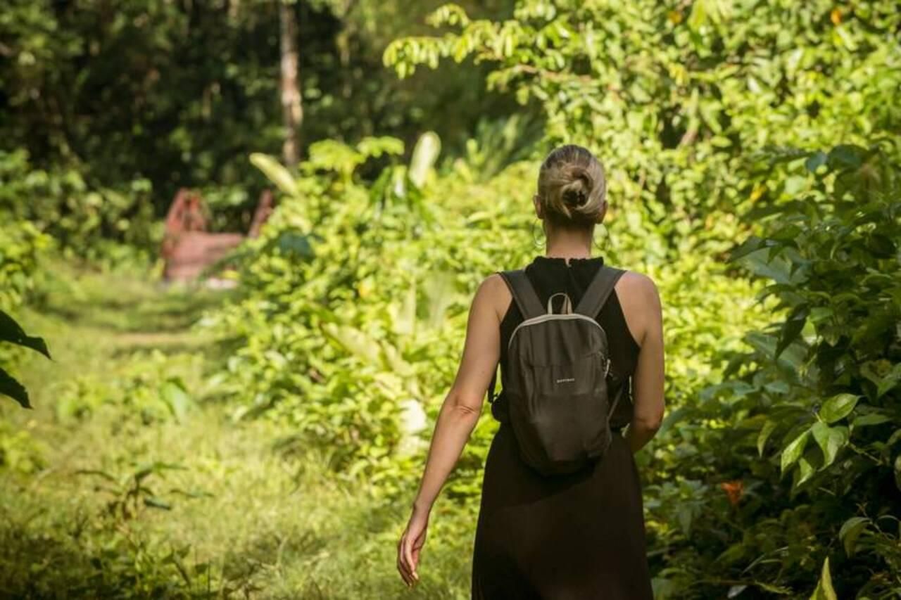 Paramaribo: Peperpot-Naturpark und Fluss-Tour bei Sonnenuntergang