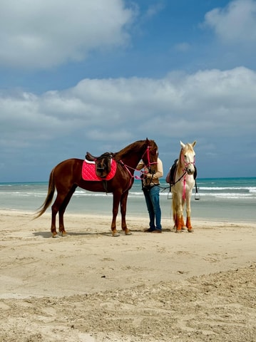 Luquillo: Guided Beach Horseback Ride with Rainforest Views