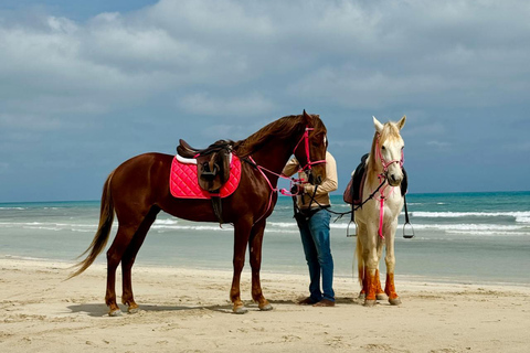 Tobago: Scenic Buccoo Bay Horseback Trail Ride