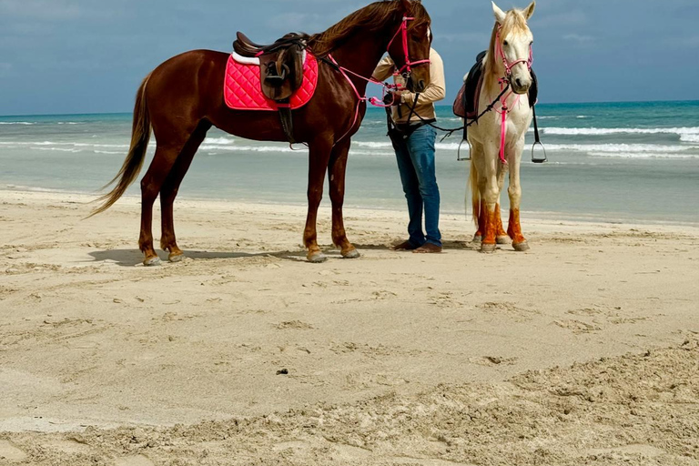 Tobago: Scenic Buccoo Bay Horseback Trail Ride