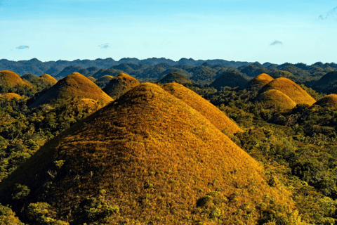 Tour di un giorno a Bohol da Cebu o Mactan (tour privato)