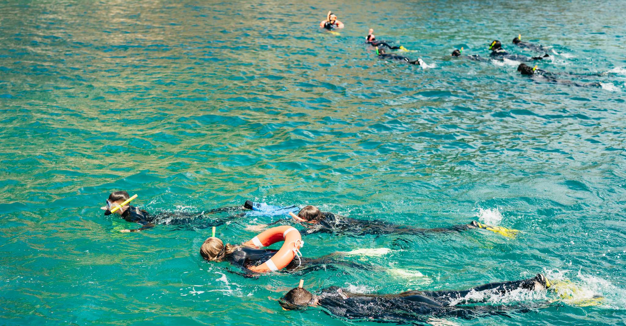 Desde L'Estartit, viaje de snorkel a las Islas Medes - Housity