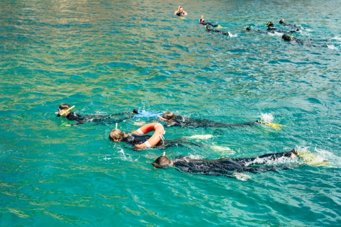 Vanuit L’Estartit: snorkeltrip bij de Medes-eilanden