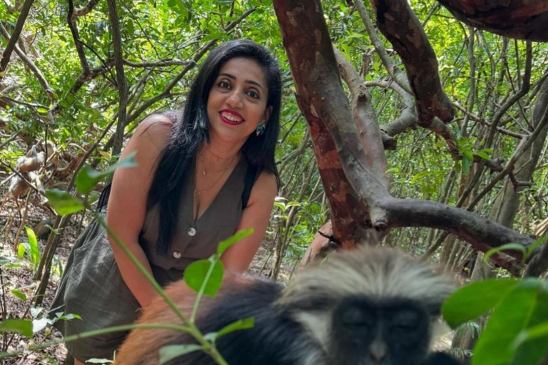 Błękitna Laguna, rozgwiazdy, żółwie, las Jozani i SkałaTransport hotelowy w regionie południowym