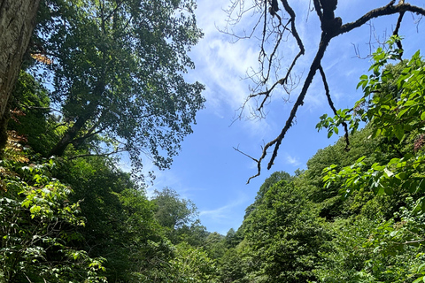 Dagvullende tour van Batumi naar watervallen