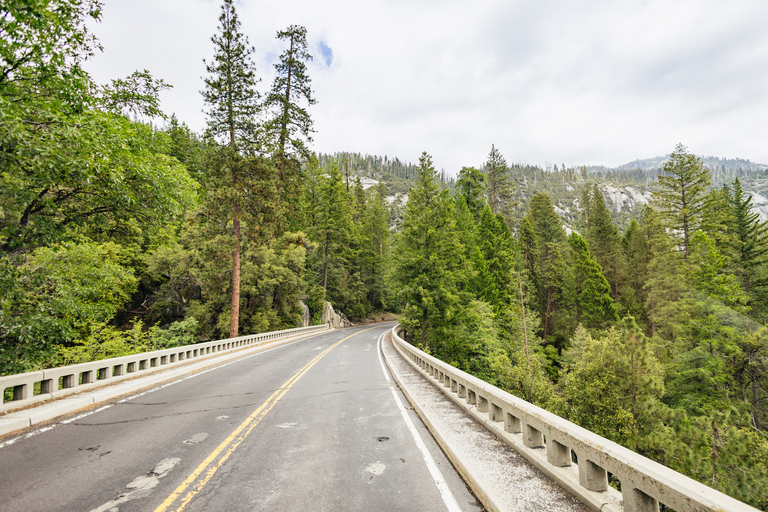 Ab San Francisco: Tour zum Yosemite NationalparkTour auf Englisch