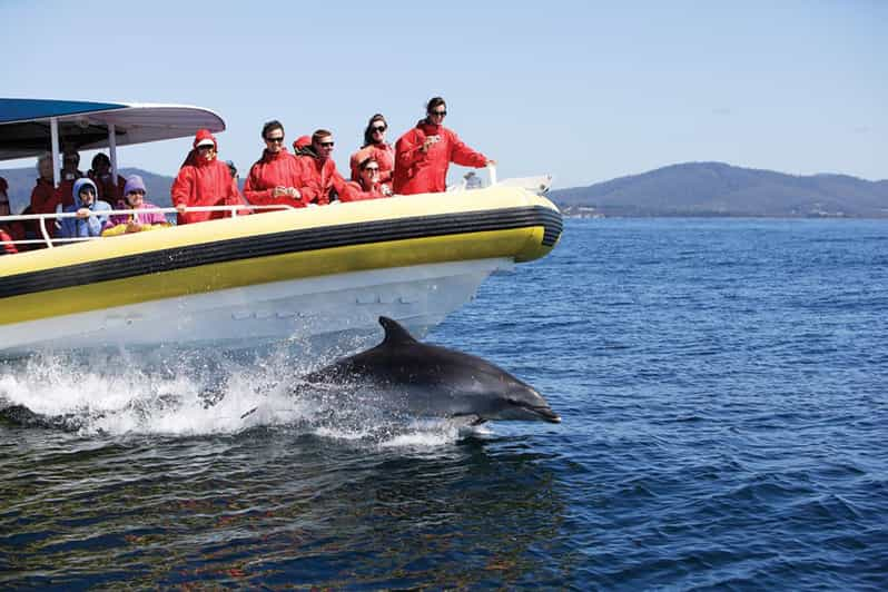 Bruny Island Wilderness Cruise | GetYourGuide