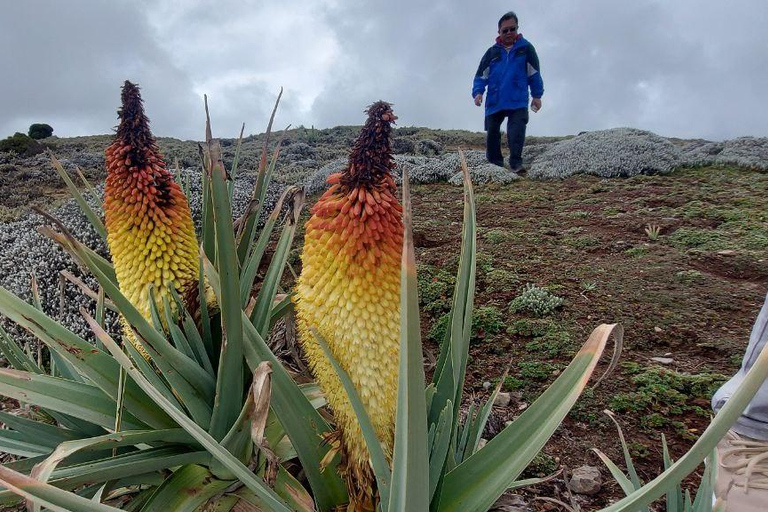 &quot;Die Wildnis erkunden: Eine 4-tägige Wanderung durch die Bale Mountains&quot;