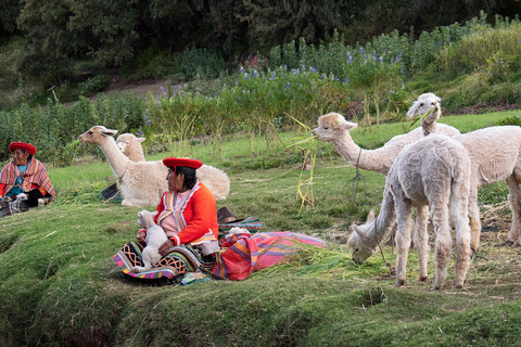 VISITE PRIVÉE ÉCONOMIQUE DANS LA VILLE DE CUSCO - DEMI-JOURNÉECusco : visite d&#039;une demi-journée de la ville