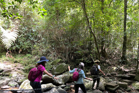 Bach Ma National Park Trekking Full-Day Tour Private Tour (From Hoi An)
