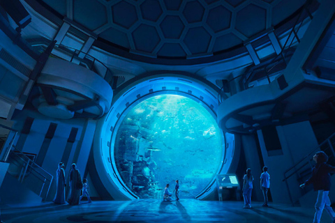 Dubai: Sheikh Zayed-moskee &amp; SeaWorld-toegang met transferDubai: Sheikh Zayed-moskee en SeaWorld, inclusief vervoer