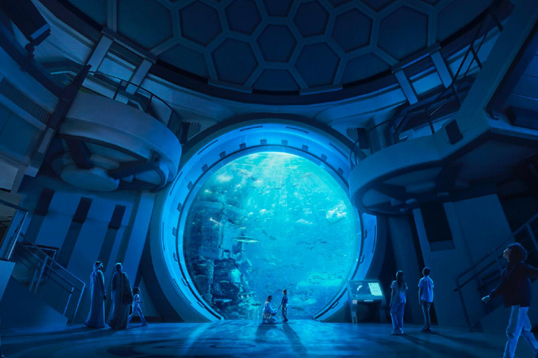 Dubai: Sheikh Zayed-moskee &amp; SeaWorld-toegang met transferDubai: Sheikh Zayed-moskee en SeaWorld, inclusief vervoer