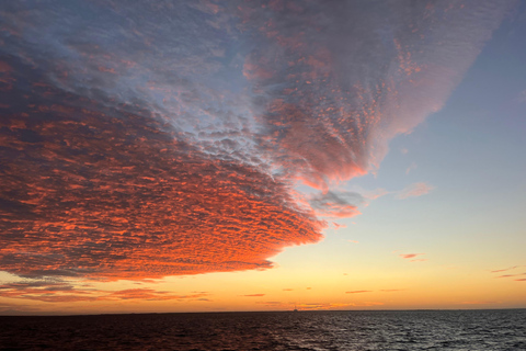 Charleston: Sunrise Marsh Ecotour Boat Charter