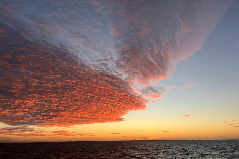 Charleston: Sunrise Marsh Ecotour Boat Charter