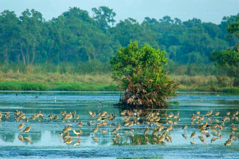 Sri Lanka: 12-tägige Tour mit Entdeckung des reichen Erbes