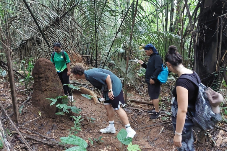 Vanuit Phuket: Wandelen door regenwoud en watervalVanuit Phuket: regenwoud- en watervalwandeling