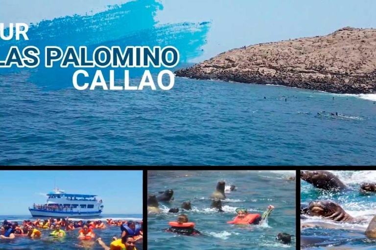 Depuis Lima : Îles Palomino