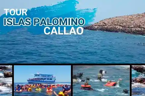 Desde Lima: Islas Palomino