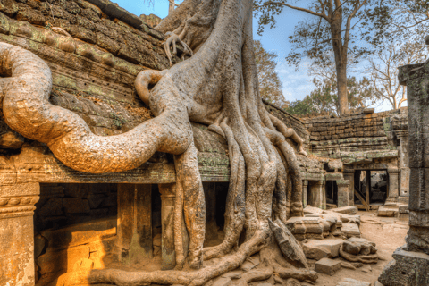 Visite des temples d'Angkor à vélo, Bayon, Ta Prohm avec déjeunerOption standard