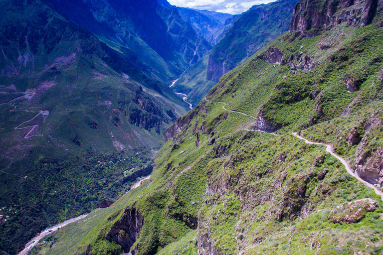 Arequipa : 3 jours de trekking dans le canyon de Colca