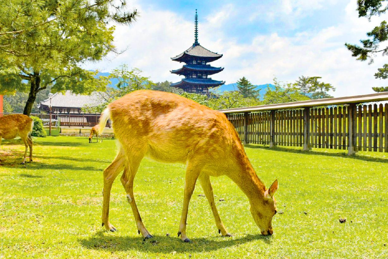 Osaka: Nara and Uji Day Trip with Deer Park and Hot Spring