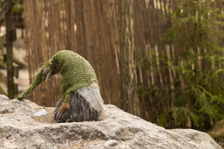 赫尔辛基：驯鹿公园与马厩私人游赫尔辛基：驯鹿公园与马厩私人导览游