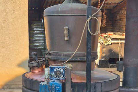 From Belgrade: Rakija-Making Experience with Lunch