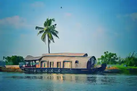 Kochi : 6-Day Tour with Munnar, Thekkady, and Houseboat
