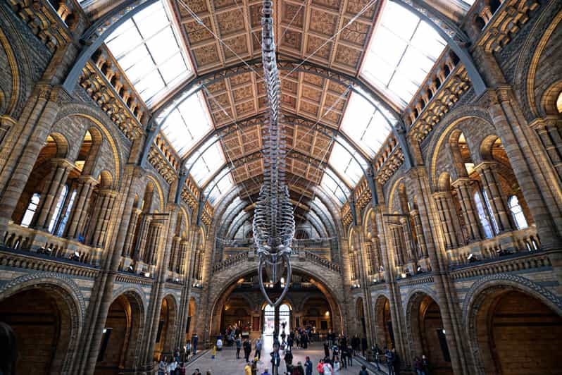 London Natural History Museum Walking Tour GetYourGuide