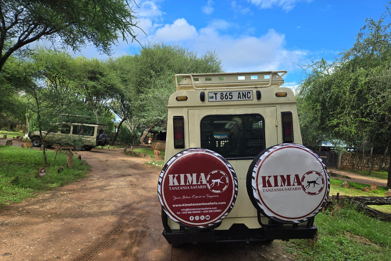 Arusha: passeio de um dia no Parque Nacional de Tarangire com safári