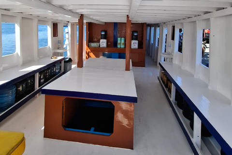 Komodo Islands: 4-Day Liveaboard, Dragons, Whale Sharks Private Room (Double Bed, AC)