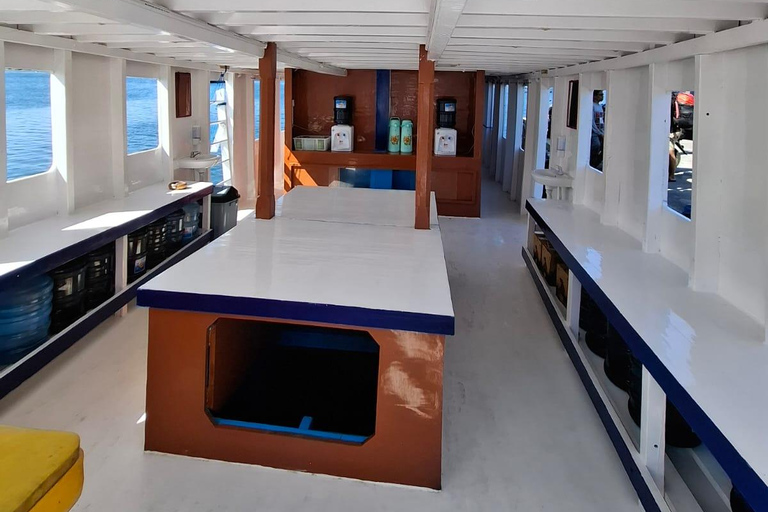 Komodo Islands: 4-Day Liveaboard, Dragons, Whale Sharks Private Room (Double Bed, AC)