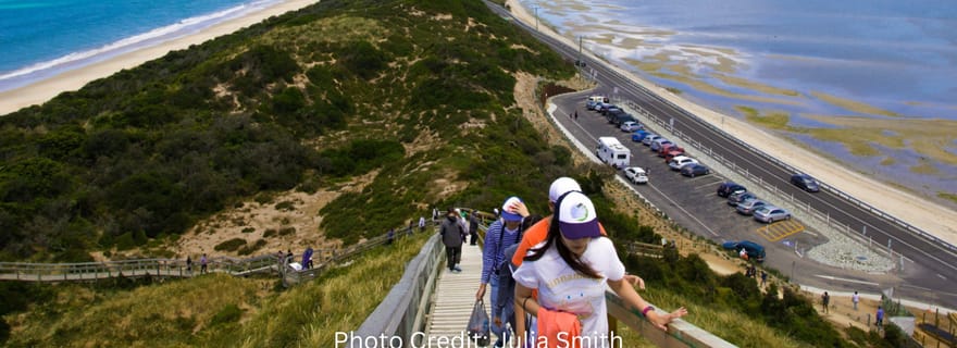Île Bruny : visite guidée (visite privative de 8 heures)