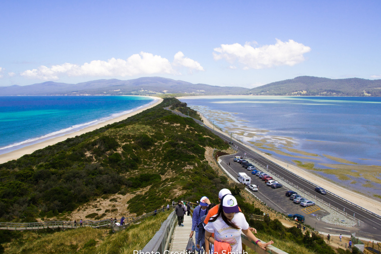 Bruny Island: Guided Sightseeing Tour (8hr Private Tour)