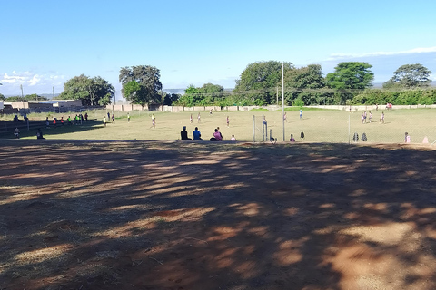 Victoria Falls: Walking Tour with Curio Market Visit