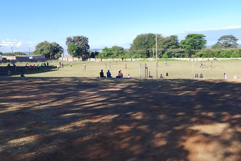 Victoria Falls: Walking Tour with Curio Market Visit