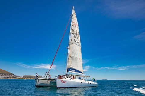 Cape Town: Sunset Catamaran Cruise with Sparkling Wine