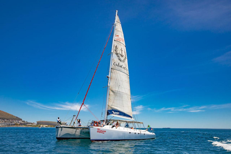 Cape Town: Sunset Catamaran Cruise with Sparkling Wine