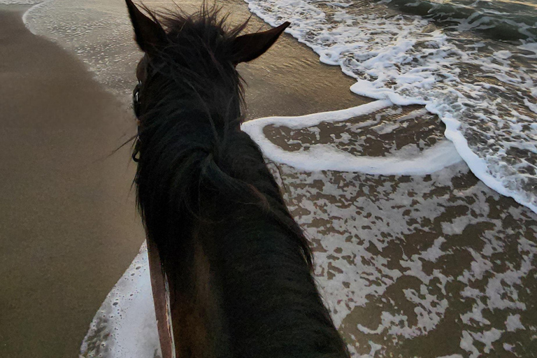 地拉那/都拉斯：弗拉凯海滩逃离与可选骑马体验地拉那/都拉斯：弗拉凯海滩度假与可选骑马活动