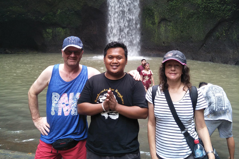 Bali: Djungelvattenfall jagar din dröm privat tur