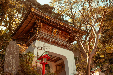 Tokyo: Kamakura, Enoshima & Great Buddha Tour