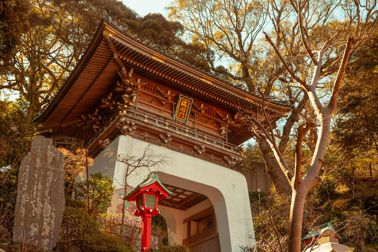 Tokyo: Kamakura, Enoshima & Great Buddha Tour
