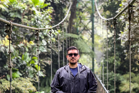 Monteverde Day Excursion from San José with Hanging Bridges Monteverde Day Trip from San José with Hanging Bridges