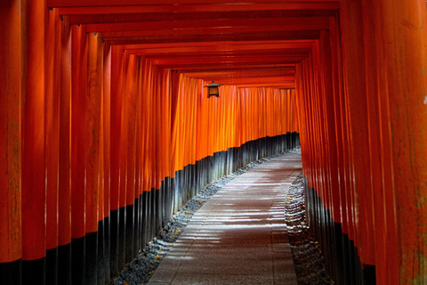 Entdecke Nara, Kiyozumi-dera &amp; Fushimi Inari von Osaka aus