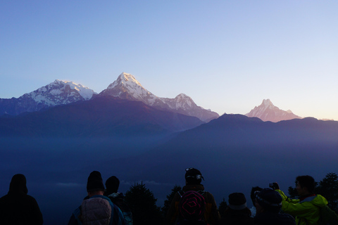 Annapurna: 8 Day Guided easy Trek at Annapurna