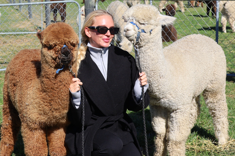 From Christchurch: Alpaca Farm Tour with Feeding and Guide